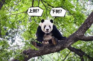 今日趣图:阿森纳-伦敦第二大俱乐部?