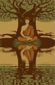 几个意思?欧文更新推特晒水面静坐图片