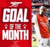 阿森纳月最佳进球候选：厄德高任意球世界波领衔