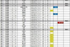 北京国安FIFA杯附加报告列表：可附加报告6人。 已经追加报告了段德智、乃比江等4人的