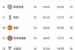 英格兰超级联赛(英格兰超级联赛排名(车城军胜依然位居前三,埃弗顿足球俱乐部近8个回合以2平局6败排在第14位