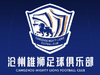 别了,永昌!沧州雄狮已将球队社交平台账号改名