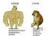 高中时喜欢体育课的你到了大学还是喜欢吗[狗头][...