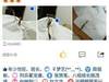 别惹我，我太狠了，都敢自己动手！不信，你.