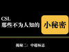 中超的&ldquo;火球&rdquo;标志