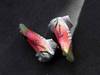 耐克发布Mercurial Dream Speed 4