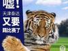 早报:时空变化,分图,循环,转